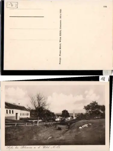 65398,Seebs b. Blumau a.d. Wild Ludweis Aigen