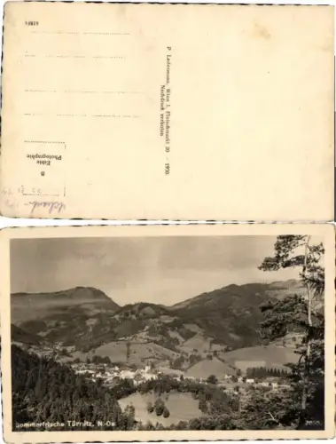 67105,Sommerfrische Türnitz 1930