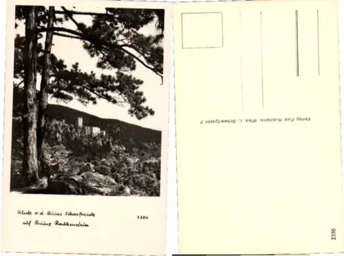 68446,Ruine Scharfeneck b. Mödling Baden Wien