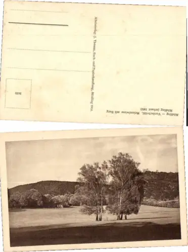 68473,Mödling Vorderbrühl Wiese b. Meierei m. Burg