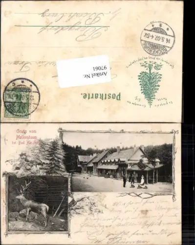 97061,Gruss aus Molkenhaus b. Bad Harzburg 1900 Hirsch