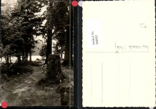 368932,Foto AK Am Oderteich b. Sankt Andreasberg Partie