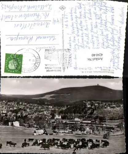 424140,Braunlage im Oberharz Totale m. Wurmberg Rinder