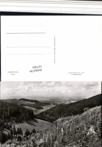 517563,Buntenbock b. Clausthal-Zellerfeld Blick ins Lerbachtal