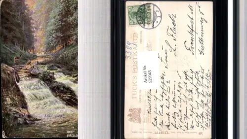 529943,Künstler AK Harz Forellensprung b. Bad Harzburg pub Tuck Oilette 206 B