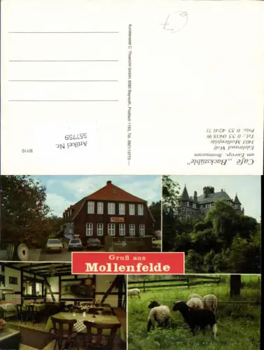 557759,Mollenfelde b. Friedland VW Golf 1 Oldtimer Auto LK Göttingen