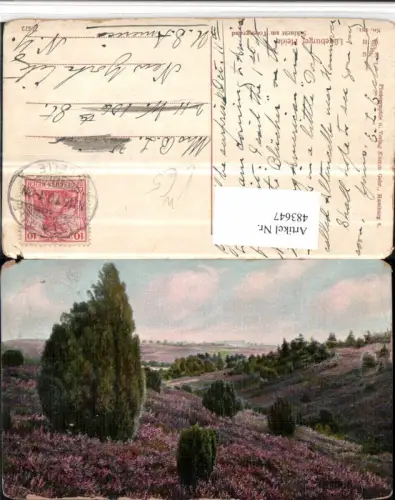 483647,Lüneburger Heide Schlucht am Totengrund b. Bispingen