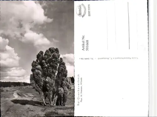 501668,Overhaverbeck b. Bispingen Umgebung Landschaft