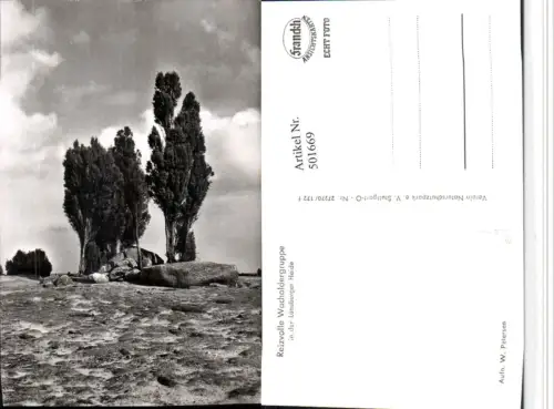 501669,Lüneburger Heide b. Schneverdingen Wacholdergruppe