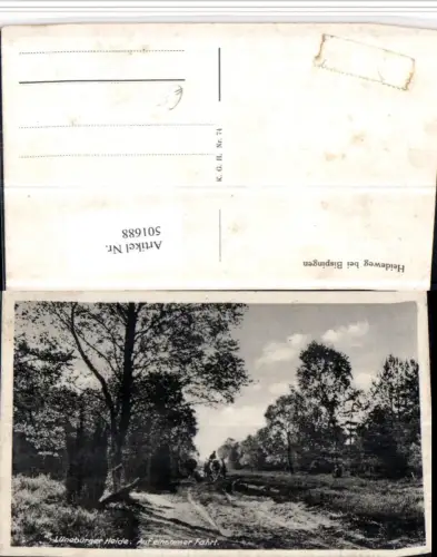 501688,Lüneburger Heide Heideweg b. Bispingen Landschaft