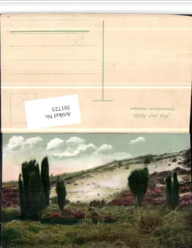 501723,Lüneburger Heide Luhequellen b. Bispingen Landschaft