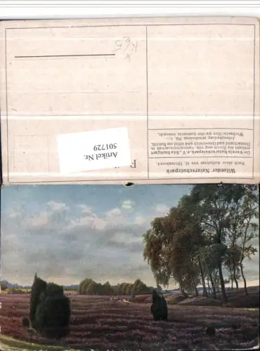 501729,Künstler AK H. Hildenbrand Wilseder Naturschutzpark b. Bispingen