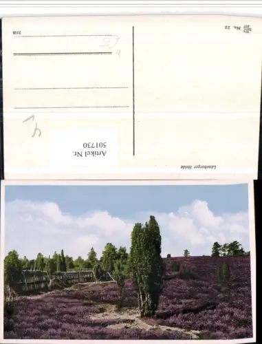 501730,Lüneburger Heide b. Schnevedingen Landschaft