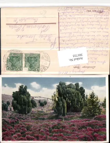 501735,Lüneburger Heide b. Schnevedingen Landschaft