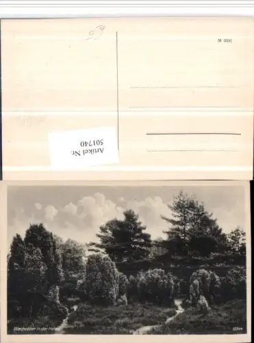 501740,Lüneburger Heide b. Schnevedingen Wacholder