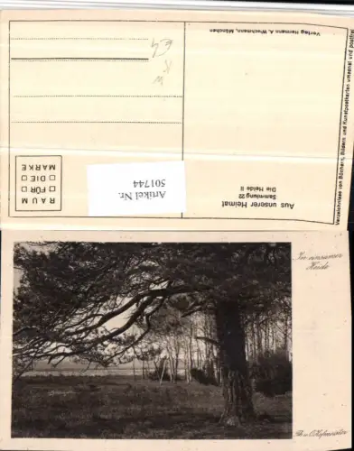 501744,Künstler AK Th. u. O. Hofmeister Lüneburger Heide b. Bispingen