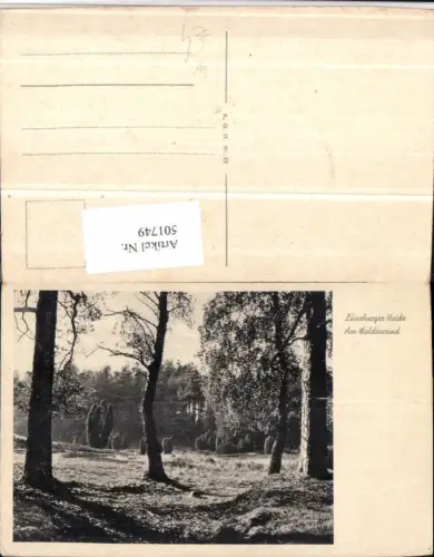 501749,Lüneburger Heide b. Bispingen Waldrand Landschaft