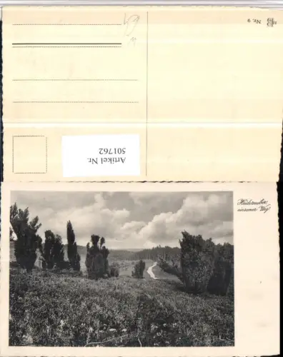 501762,Lüneburger Heide b. Schnevedingen Landschaft Weg