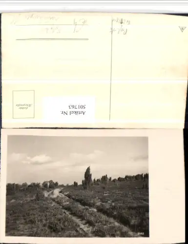 501763,Foto AK Lüneburger Heide b. Schnevedingen Landschaft