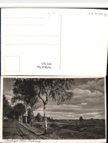 501765,Lüneburger Heide b. Bispingen Birkenweg Landschaft