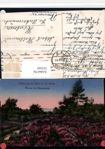 515502,Lüneburger Heide Heideweg m. Blick in die Heide b. Bispingen