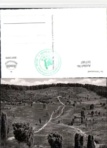 517187,Totengrund b. Wilsede Bispingen Landschaft