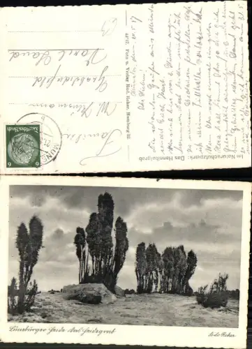 702887 Hannibalgrab Lüneburger Heide Lüneburg Wilsede Bispingen gel Varel Land