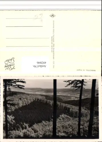 492846,Wabachtal im Vogler Ausblick Wald