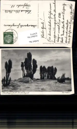 674771,Lüneburger Heide Heidegrab pub Foto Reher Hamburg