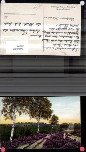 176694,Lüneburger Heide Birkenweg b. Borg Walsrode