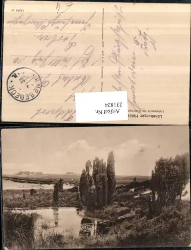 231824,Lüneburger Heide Luhequelle b. Bispingen Partie