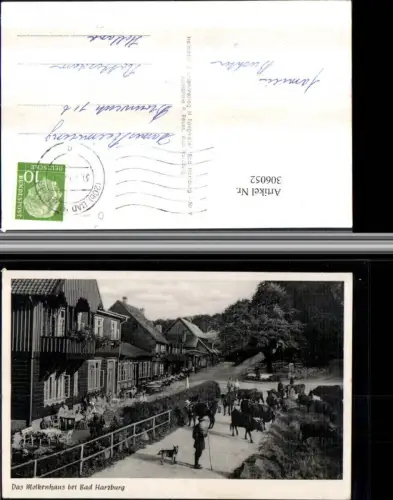 306052,Molkenhaus b. Bad Harzburg Kühe Rinder