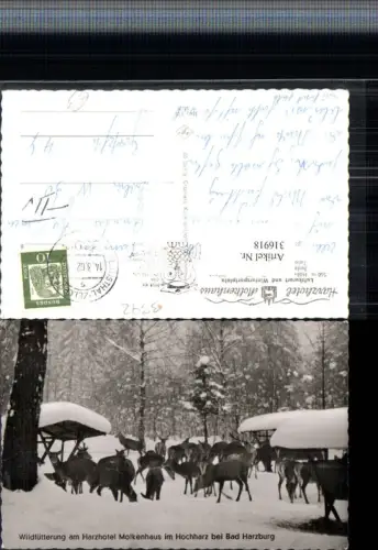 316918,Wildfütterung am Harzhotel Molkenhaus im Hochharz b. Bad Harzburg Winterbild