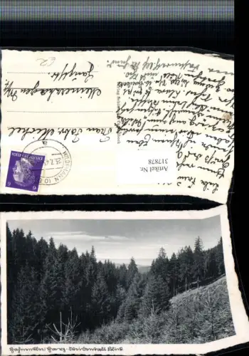 317878,Hahnenklee im Harz b. Goslar Blick Wald