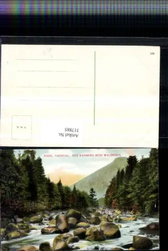 317885,Okertal im Harz Der Kahberg b. Waldhaus b. Goslar