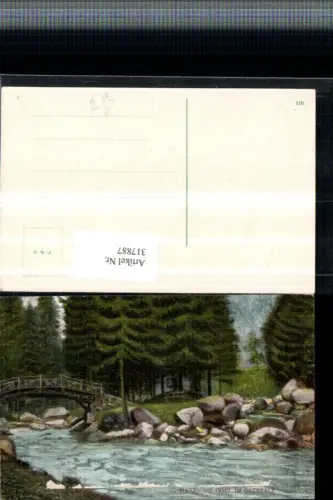 317887,Harz Die Insel im Okertal b. Goslar Wildbach Brücke