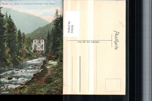 318101,Okertal im Harz Partie m. Logirhaus Romkerhalle Villa Helene b. Goslar