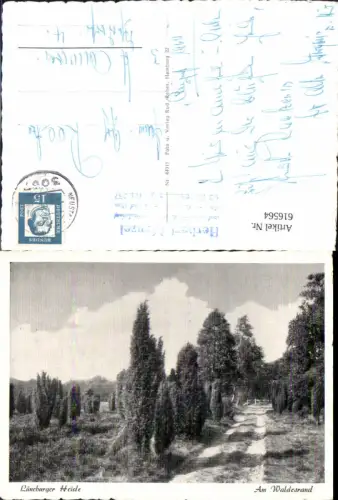 616564,Lüneburger Heide b. Schwarmstedt Am Waldesrand