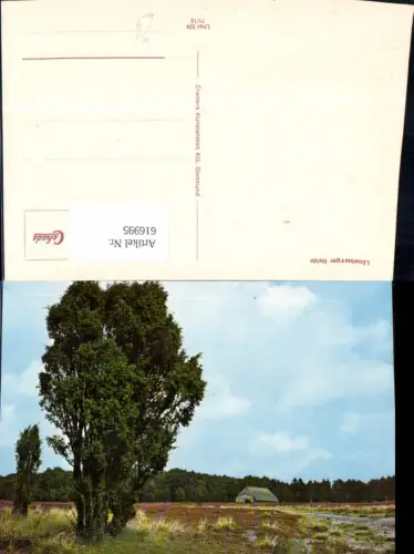 616995,Lüneburger Heide Landschaft b. Lüneburg Umgebung