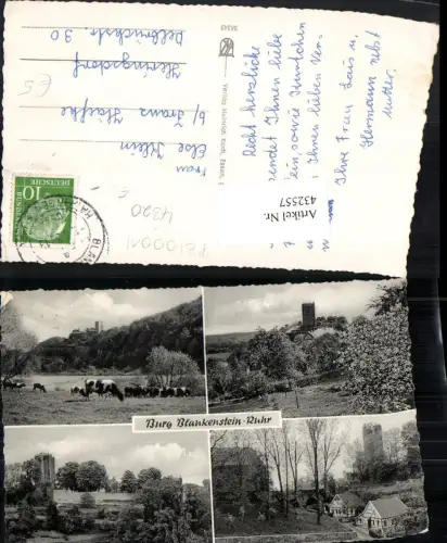 432557,Burg Blankenstein b. Hattingen Rinder Mehrbildkarte