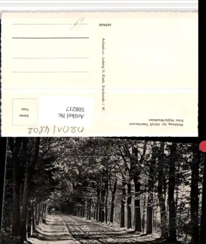 508217,Waldweg bei Schloss Tatenhausen b. Halle Wegpartie