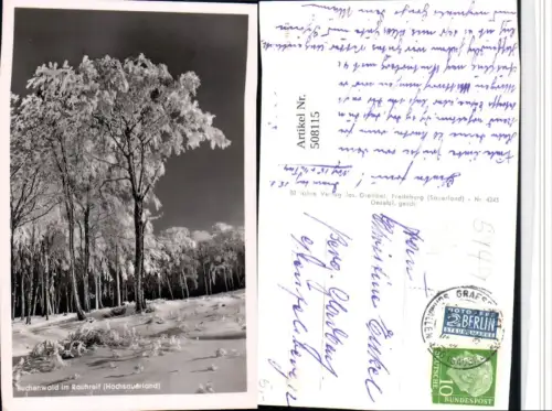 508115,Buchenwald im Rauhreif b. Schmallenberg Winterbild