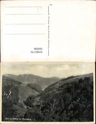 560996,Blick ins Orketal b. Winterberg