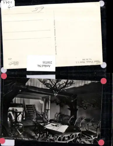 218735,Hotel Vialon b. Horn Bad Meinberg Jagdzimmer Innenansicht