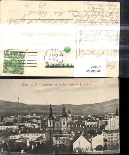 265665,Linz a. d. Donau Panorama v. Domturm geg. d. Pfeningberg