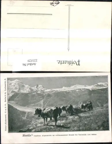 223529,Reklame Ak Nestle condens. Alpenmilch i. vollkommener Ersatz f. Vollmilch u. Sahne Kühe v. Bergkulisse