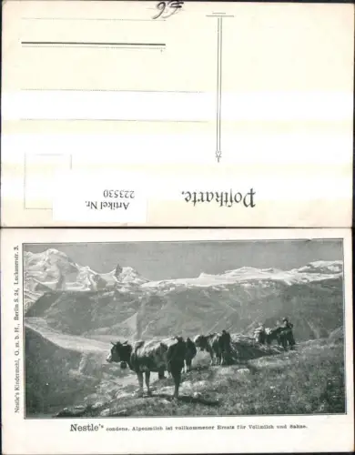 223530,Reklame Ak Nestle condens. Alpenmilch i. vollkommener Ersatz f. Vollmilch u. Sahne Kühe v. Bergkulisse