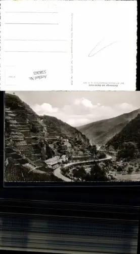 558365,Ahr Ahrtal Ahrweiler Weinberge Walporzheim