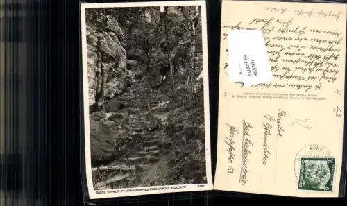 685707 Sächsische Schweiz Rathen Lohmen Wehlen Pfaffenstein pub Hering