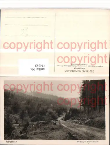 474683,Isergebirge Waldweg im Schwarzbachtal b. Erlbach